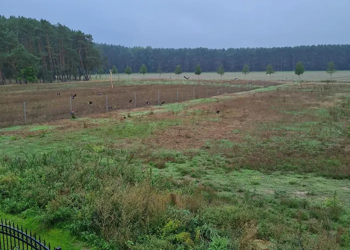 Schlaubetal 1 - Seenaehe Apartment *